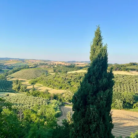 Apartamento Vista Olivi
